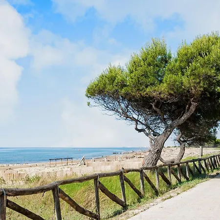 Modern Flat With Sea View Apartment